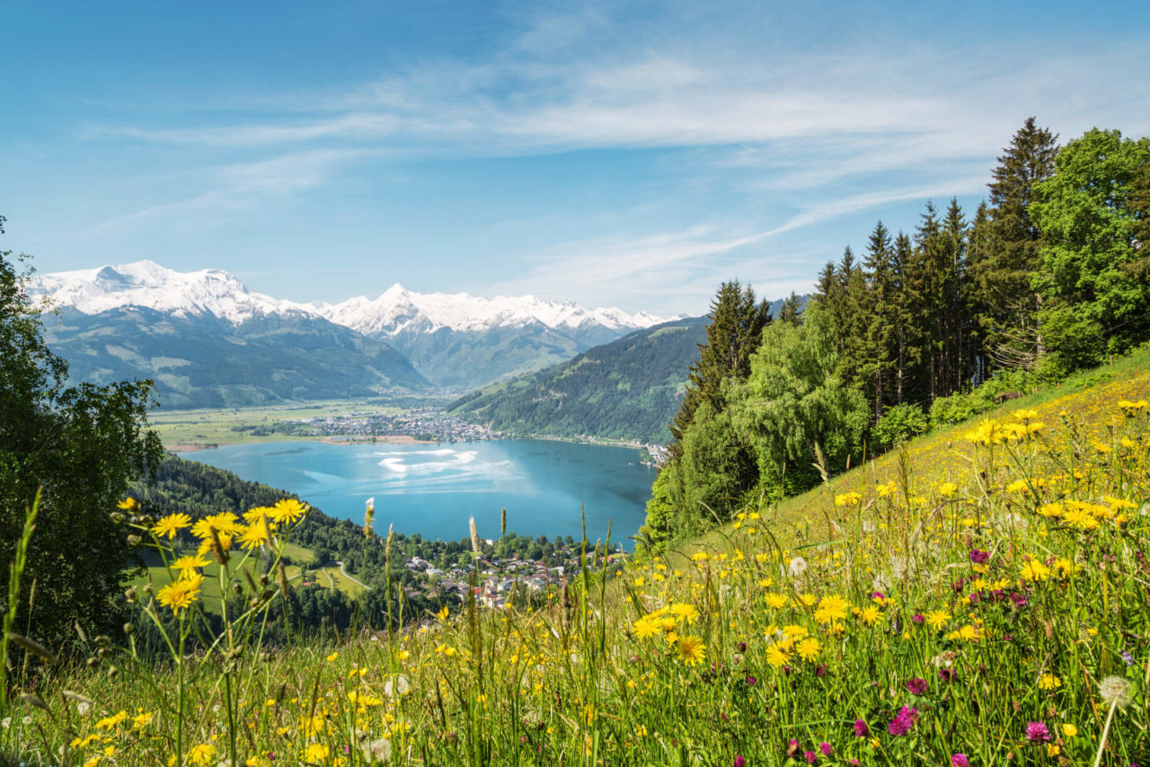 Blick vom Berg auf den See und auf Zell am See Kaprun